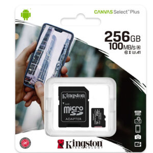 KINGSTON 256GB MEMORY CARD (3 YEARS WARRANTY)